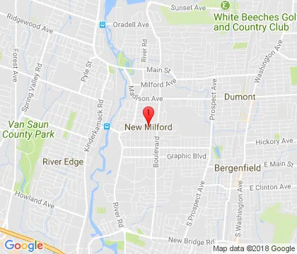 logo-image - new-milford-nj